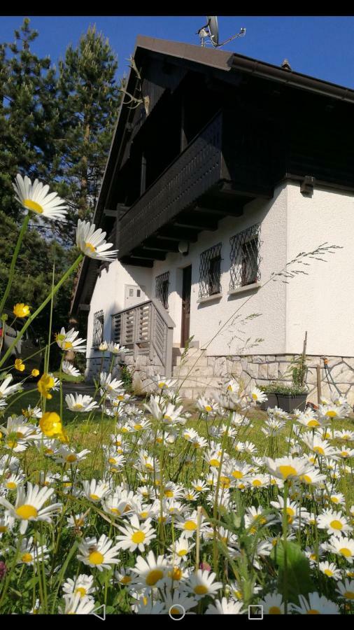 River House Hrib ゴレンスカ地方 エクステリア 写真